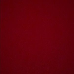 Meet your Posher, Sammy